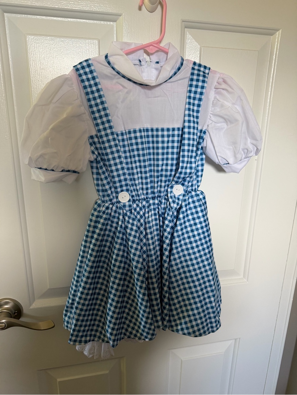 Girls Dorthy Costume- Size Small